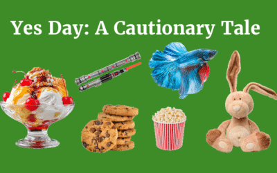 Yes Day: A Cautionary Tale